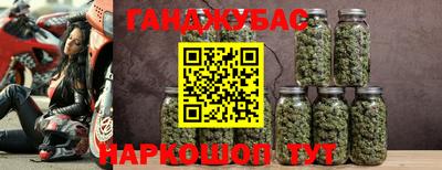 a pvp Кингисепп