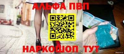 a pvp Кингисепп
