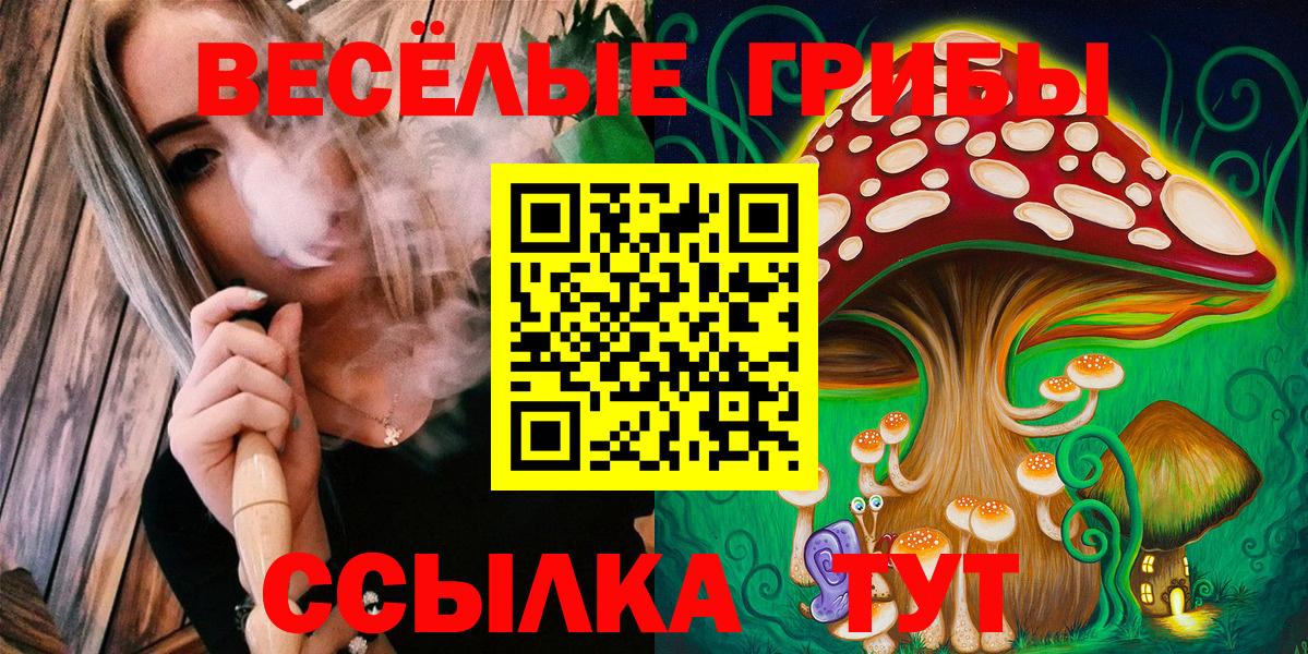 Галлюциногенные грибы мухоморы Мончегорск